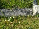 image of grave number 313067